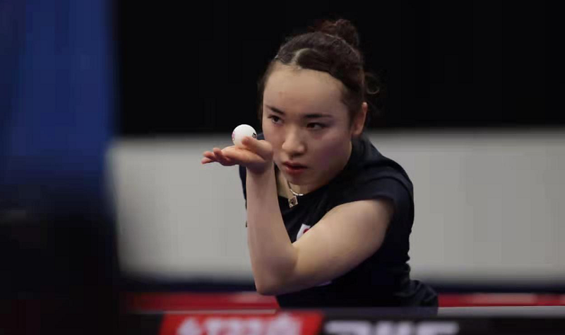 的合作提供 的合作提供