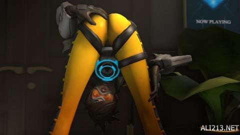 20260 20260